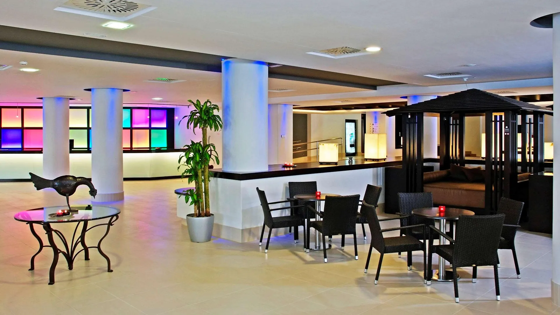 ****  Hotel Sol Guadalupe Magalluf Španělsko